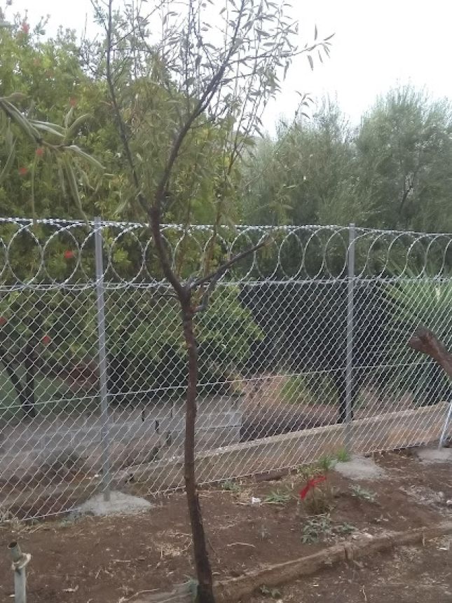 Περίφραξη με λεπιδοφόρο κονσερτίνα