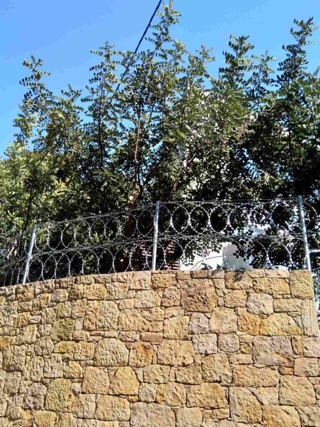 Περίφραξη με λεπιδοφόρο κονσερτίνα σε πέτρινο τοίχο