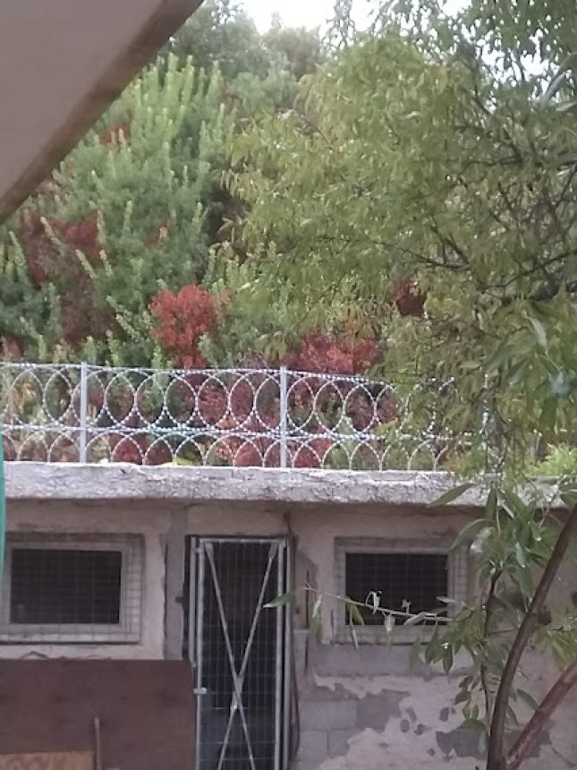 Περίφραξη με λεπιδοφόρο κονσερτίνα