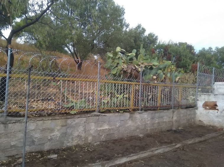 Περίφραξη με λεπιδοφόρο κονσερτίνα