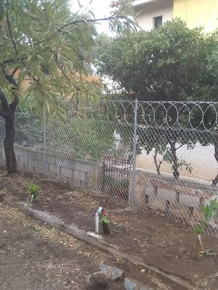 Περίφραξη με λεπιδοφόρο κονσερτίνα
